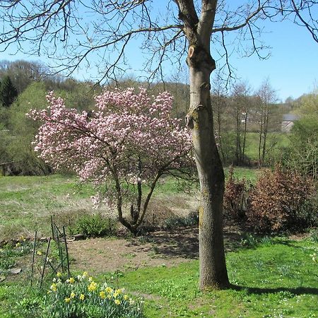 Les Chevrefeuilles Villa Walcourt Rum bild